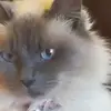 Shari Walton - @shari.walton67 - TikTok