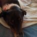 Shari Ward - Facebook