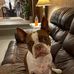 Shari Ward - Facebook