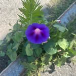 Shari Ward - @shari.ward.96 - Instagram