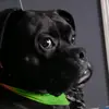 ShariWard462 - @sward0008 - TikTok