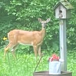 Shari Webb - @thewebbs3207 - Instagram