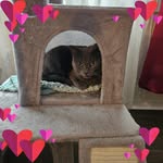 Shari Webb Peal - @sharip428 - Instagram