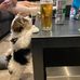 Sharise Weiner - Facebook