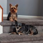 Shari Lebson Wetzel - @sw2bears - Instagram
