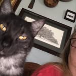 Shari Wise - @wpbshari - Instagram
