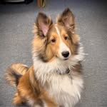 Sheri Wise - @sheri.wise.33 - Instagram