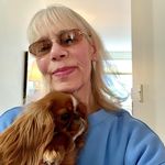Shari Riseman Wolfe - @wolfe.shari - Instagram