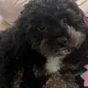 shari.wolfe - @shari.wolfe - TikTok