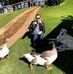 Graham Sharing - Facebook