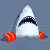 sharkbait1582 - @baker.sharif0 - TikTok