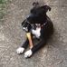 Sharif Brown - Facebook