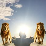 Sharif Williams - @repitwa1 - Instagram
