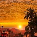Sharma Mitchelle - Facebook