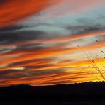 Sharla Fox - Facebook