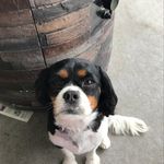 Sharleen Smith - @shardrinkswine - Instagram