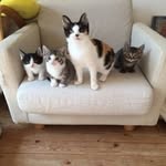 Charlene webb - @charlenewebb985 - Instagram