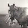 Sharmane Brown - @sharmane.brown - TikTok