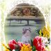 Sharon Abner - Facebook