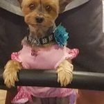 Sharon Abney - @sharonabney - Instagram