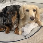 Sharon Abney - Facebook