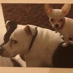 sharon Addison - @viv_rex - Instagram