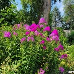 Sharon Adelmann - @sharon_adelmann - Instagram