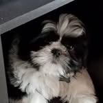 Sharon Allbritton Axton - @sharonaxton - Instagram