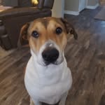 Sharon Allbritton Mauldin - @sgm61050 - Instagram