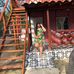 Sharon Alvis - Facebook