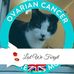 Sharon Amey - Facebook