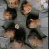 Sheron Andrieli - @sheronandrieli - TikTok