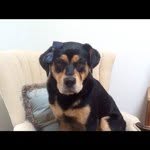 Sharon Andres - @srandres - Instagram