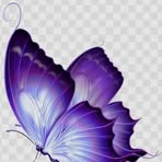 Sharon Andres - Facebook