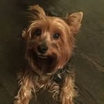 Sharon Andrus - @sharon_andrus - Instagram