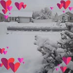Sharon Andrus - @andrus.sharon - Instagram