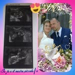 sharon - @sharonapellino - Instagram