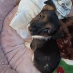 Sharon Appleby - @appleby6322 - Instagram