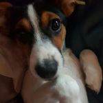 Sharon Appleby - @appleby1896 - Instagram