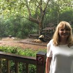 Sharon Appleby - @applebsh - Instagram
