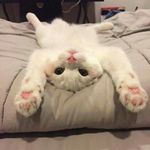 Sharon Arce - @sharon.arce.908 - Instagram