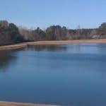 Sharon Arrington - @arrington.sharon - Instagram