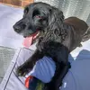 Sharon Harrington - @sharon.harrington04 - TikTok
