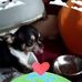 Sharon Arrowood - Facebook