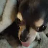 Sharon Arrowood - @sharon.arrowood - TikTok