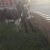 sharonashton616 - @sharonashton616 - TikTok