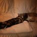 Sharon Atchison - Facebook