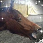 Sharon Atherton - @sharon.atherton.731 - Instagram