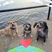 Sharon Atherton - Facebook