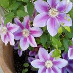 Sharon Attaway Brogdon - @sharonattawaybrogdon - Instagram